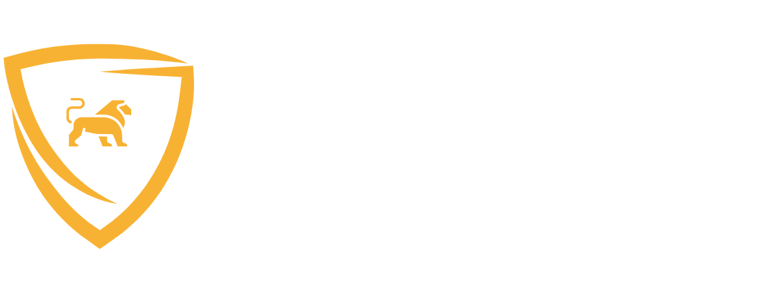 SPAI Seguridad